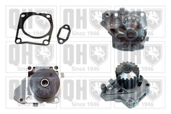 QUINTON HAZELL Water pump Article number: QCP3825 cheaply