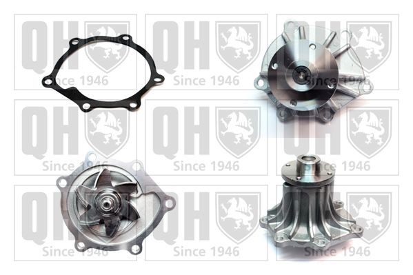 QUINTON HAZELL Water pump Article number: QCP3847 cheaply