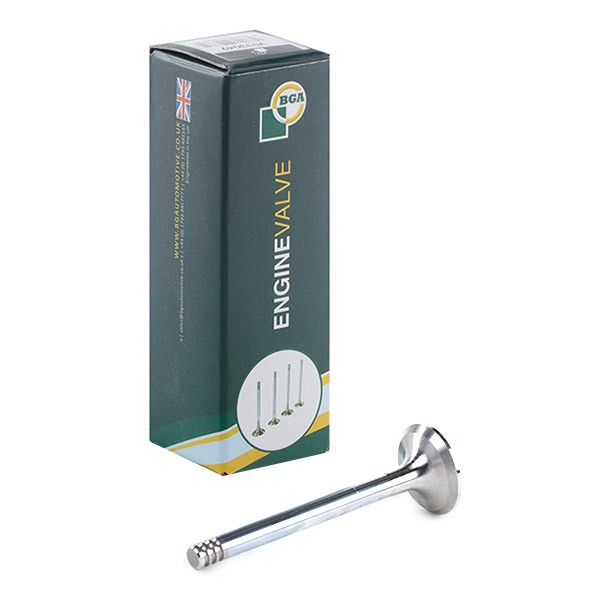BGA Exhaust valve Article number: V033049 cheaply