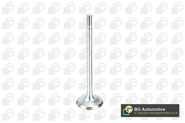 BGA Exhaust valve Article number: V166161 cheaply