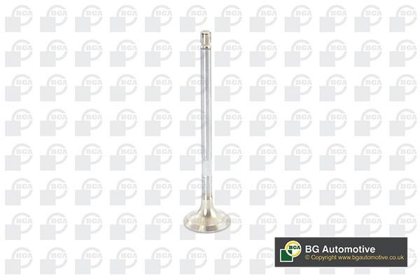 BGA Exhaust valve Article number: V917011 cheaply