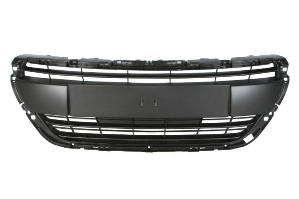 BLIC Grille de calandre UGS: 6502-07-5509992P à bon prix