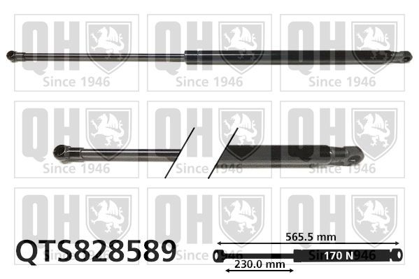 QUINTON HAZELL Tailgate strut Article number: QTS828589 cheaply
