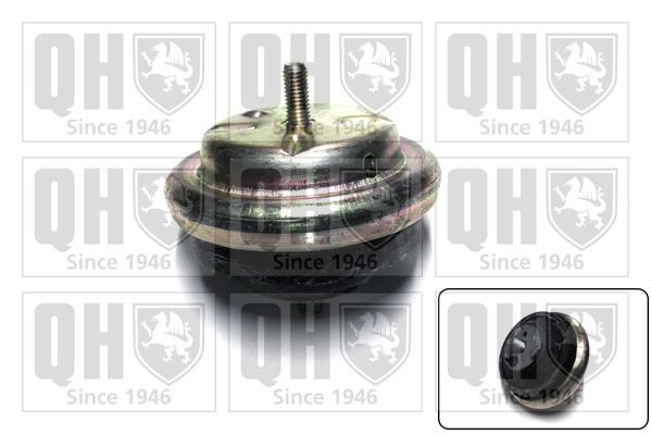 QUINTON HAZELL Engine mount Article number: EM4156 cheaply