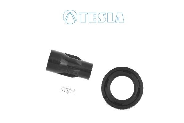 TESLA CP096 Plug, spark plug GRANDIS 2.4 MIVEC (NA4W) 165 PS Petrol 2011