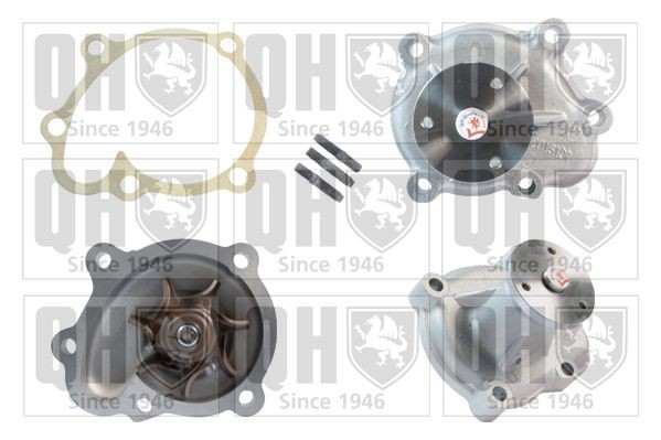 QUINTON HAZELL Water pump Article number: QCP3510 cheaply