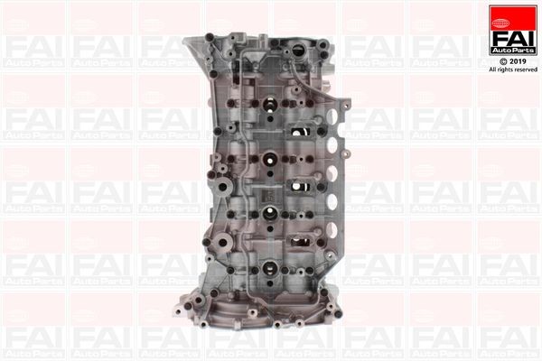 FAI AutoParts Cylinder Head Article number: BCH093 cheaply