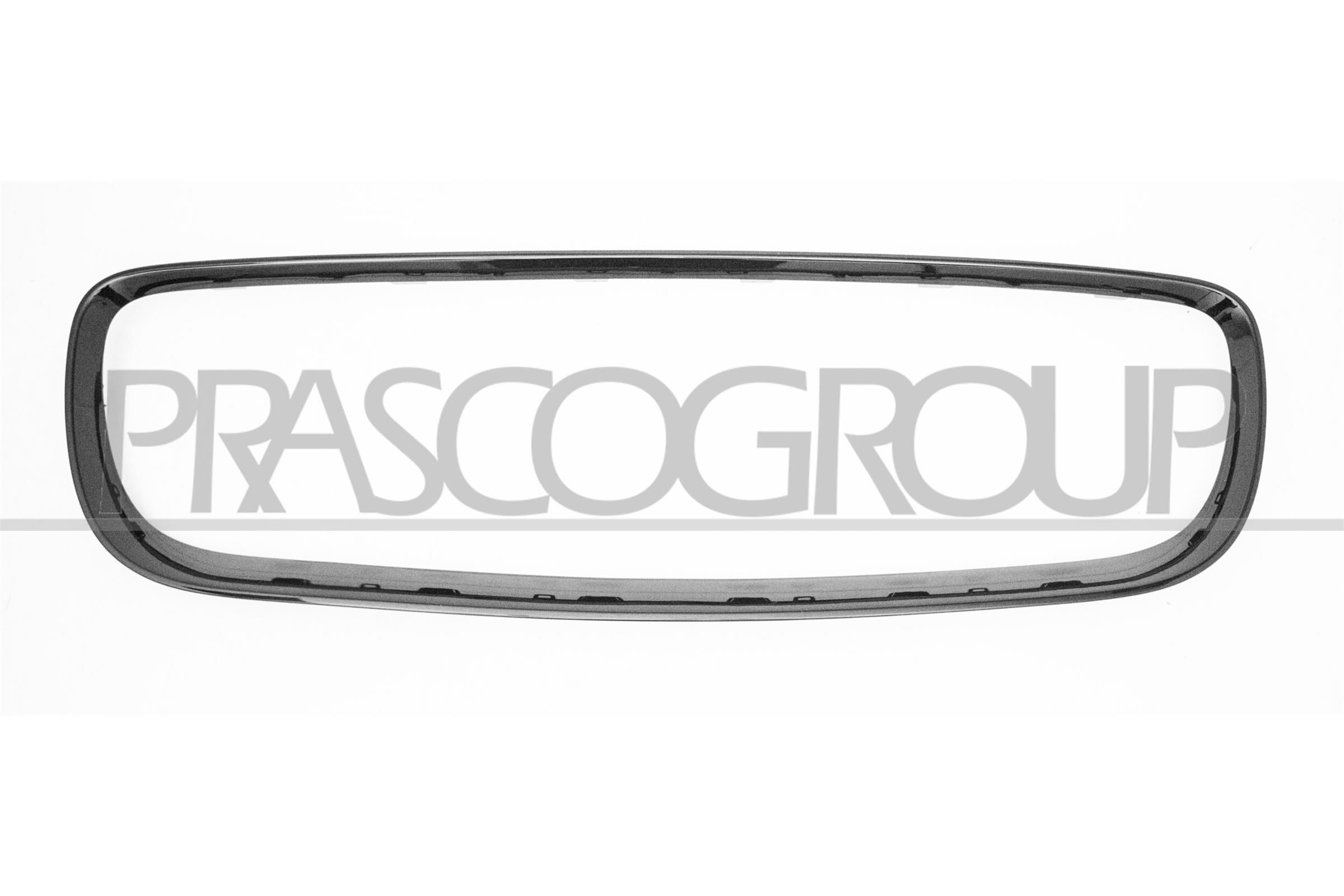 PRASCO Frame, radiator grille Article number: JG7502325 cheaply