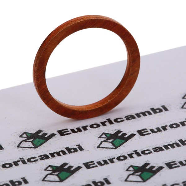 Euroricambi Tarpiklis, alyvos išleidimo angos kaištis prekės numeris: 95531572 nebrangu