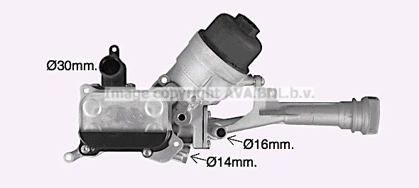 PRASCO Radiatore olio motore Numero articolo: FT3478H poco costoso