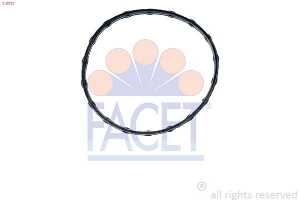 FACET Gasket, thermostat Article number: 7.9737 cheaply