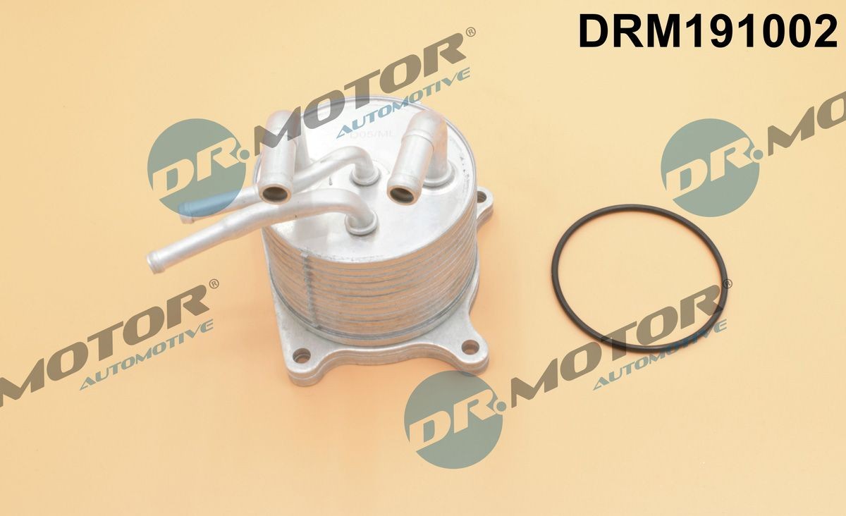 DR.MOTOR AUTOMOTIVE Õliradiaator, mootoriõli Artikli number: DRM191002 soodsalt