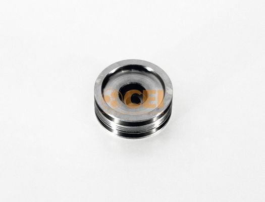 CEI Piston, shift cylinder Article number: 188.401 cheaply
