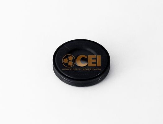 CEI Piston, shift cylinder Article number: 189.710 cheaply