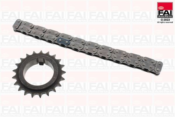 FAI AutoParts OPCK46 Chain, oil pump drive MEGANE 1.6 dCi 130 (B9A4) 130 PS Diesel