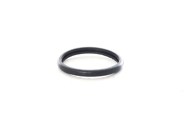 BSG Pakning, termostat Varenummer: BSG 60-700-277 billige
