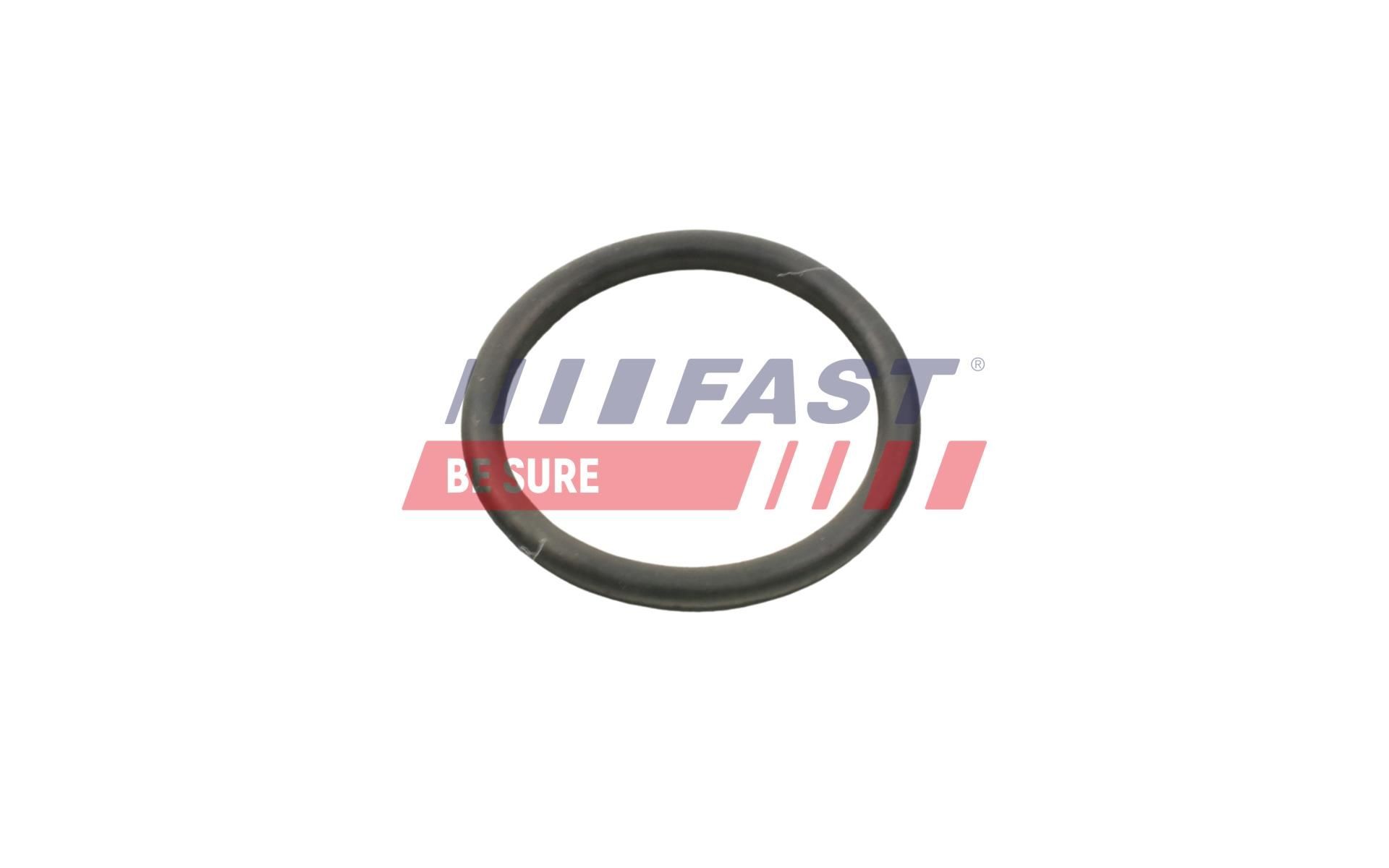 FAST Throttle body Article number: FT50419 cheaply