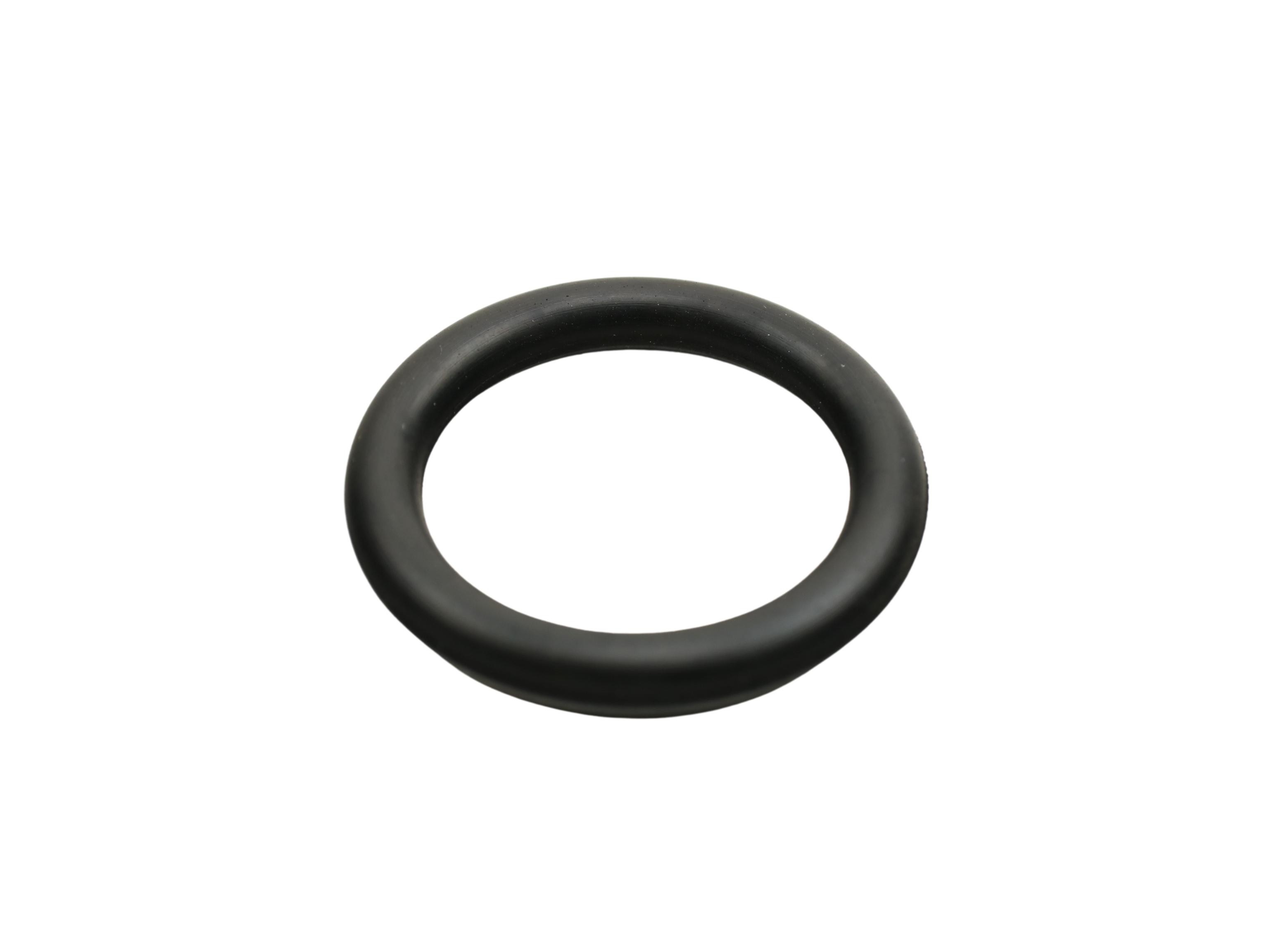 FAST Inlet manifold gasket Article number: FT49426 cheaply