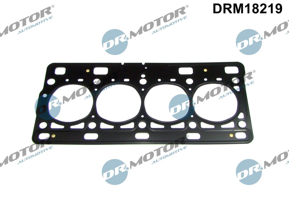 DR.MOTOR AUTOMOTIVE Gasket, cylinder head Article number: DRM18219 cheaply