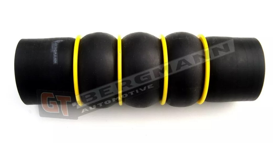 GT-BERGMANN Charger intake hose Article number: GT52-173 cheaply