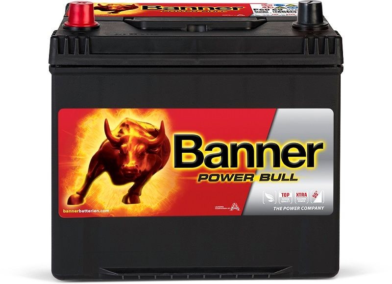 BANNER Battery Article number: 013560690101 cheaply
