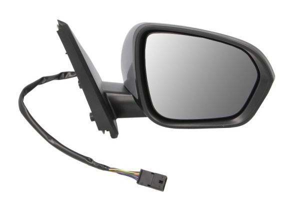 BLIC Wing mirror Article number: 5402-67-2146317P cheaply