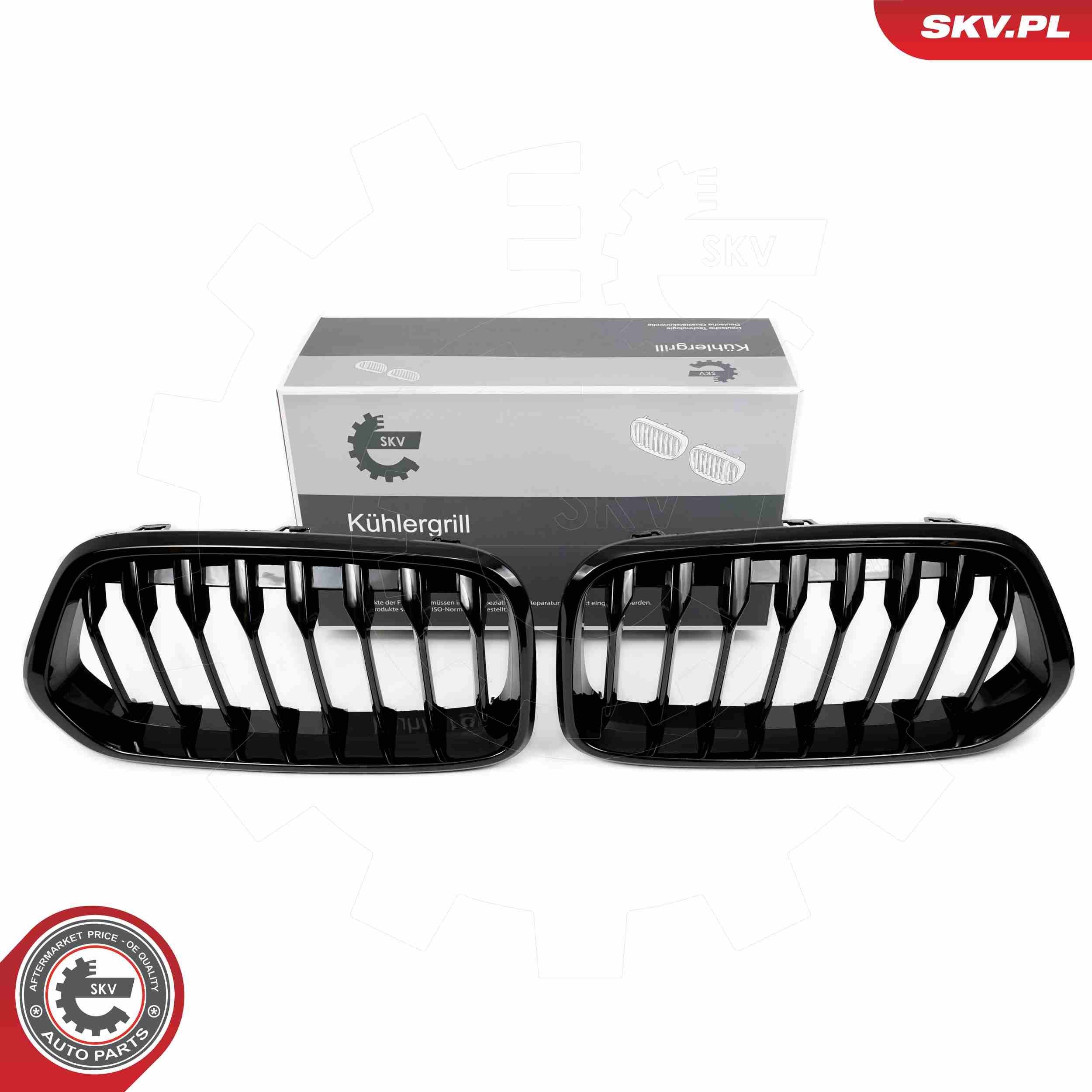 ESEN SKV Radiator Grille Article number: 66SKV245 cheaply
