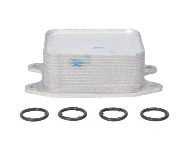 CLIMTEX Engine oil cooler Article number: CH8-146 cheaply