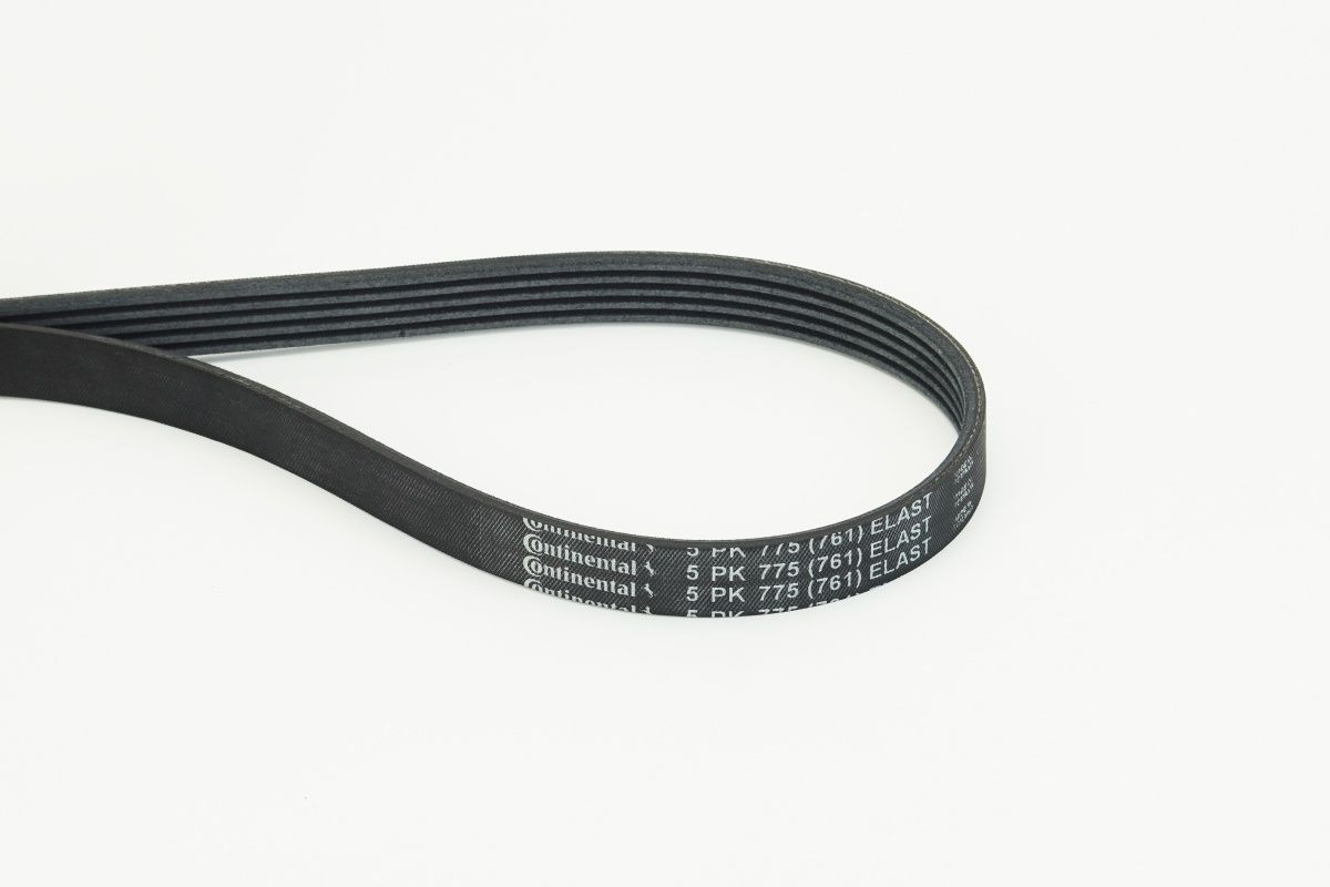 CONTITECH Serpentine belt Article number: 5PK775 ELAST cheaply