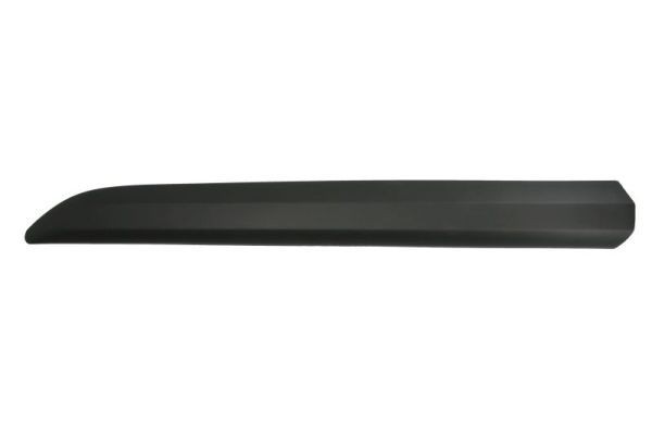 BLIC Door molding Article number: 5703-04-0559571P cheaply