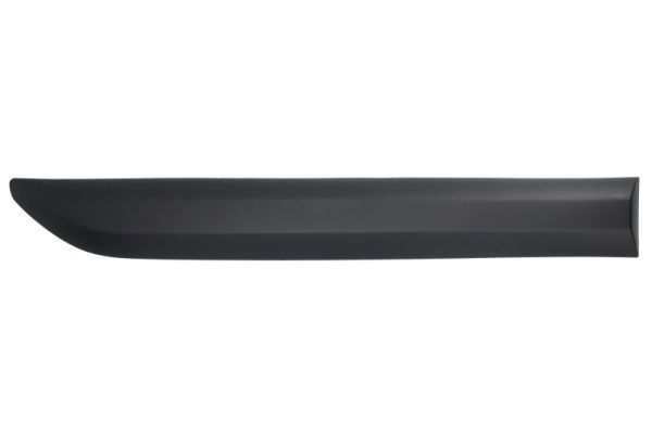 BLIC Door molding Article number: 5703-04-0559575P cheaply