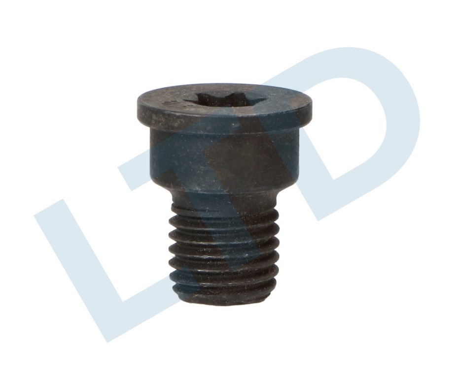 LTD Bolt, brake disc Article number: LTD-N91028202 cheaply