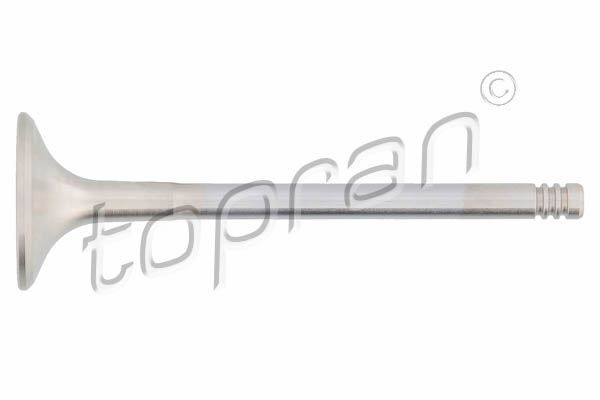 TOPRAN Exhaust valve Article number: 201 250 cheaply