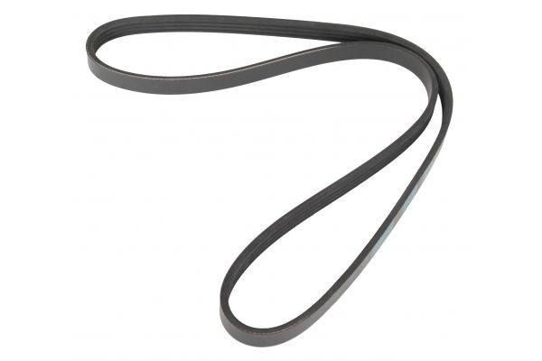 MAPCO Serpentine belt Article number: 241045 cheaply