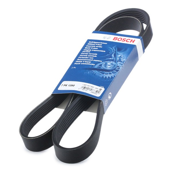 BOSCH Serpentine belt Article number: 1 987 947 995 cheaply