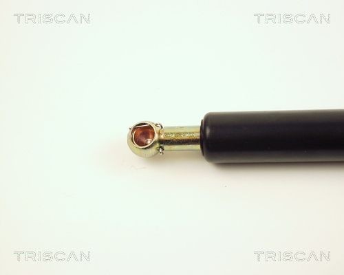 TRISCAN Brake disc Article number: 8120 10142 cheaply