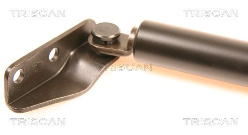 TRISCAN Brake disc Article number: 8120 17105 cheaply