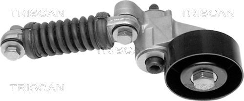 TRISCAN Tensioner Lever, v-ribbed belt Article number: 8641 253001 cheaply