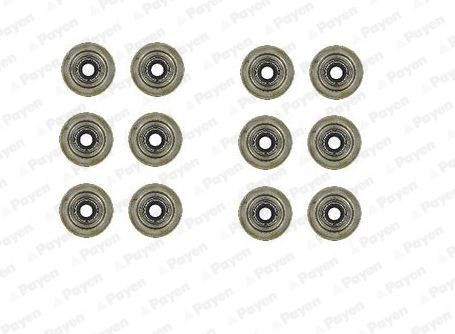 PAYEN Seal Set, valve stem Article number: HR5031 cheaply
