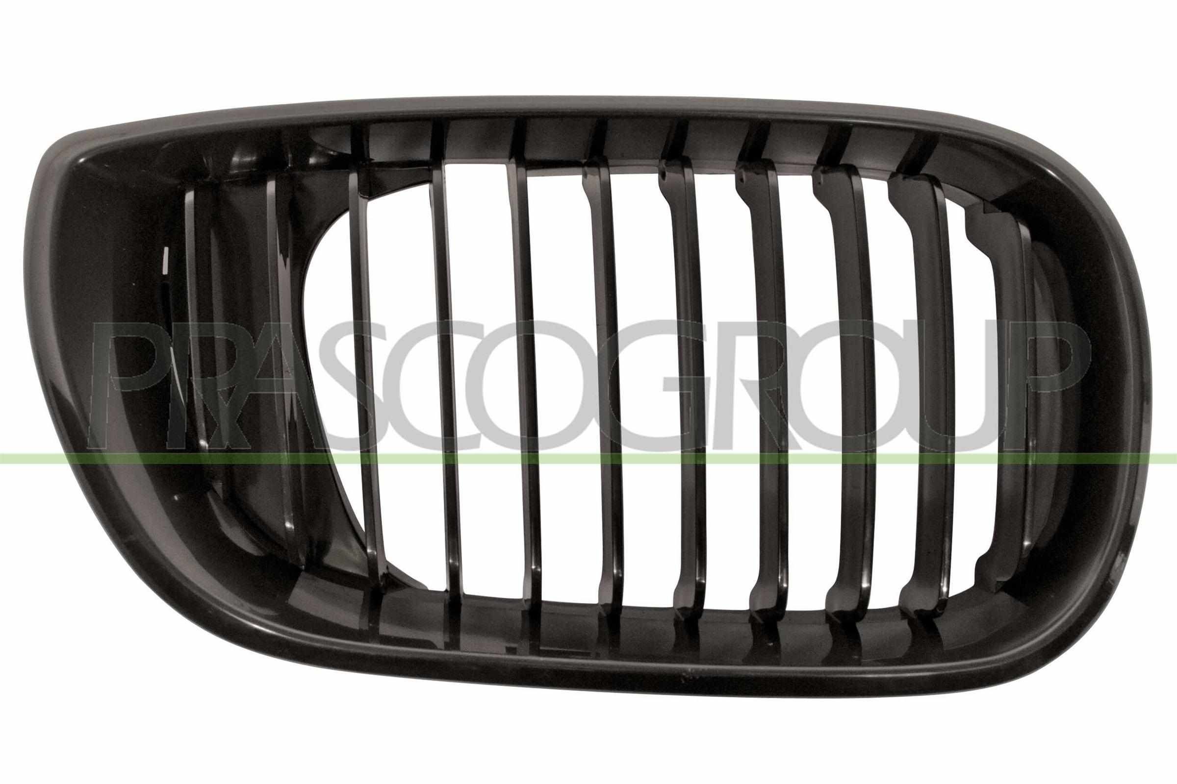 PRASCO Rear bumper Article number: BM0251071 cheaply
