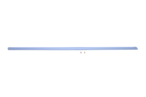 BLIC Door molding Article number: 5703-04-2026575P cheaply