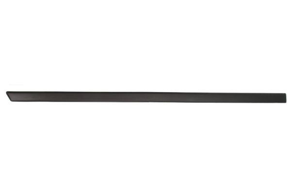 BLIC Door molding Article number: 5703-04-2564575P cheaply