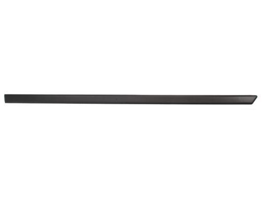 BLIC Door molding Article number: 5703-04-2564576P cheaply