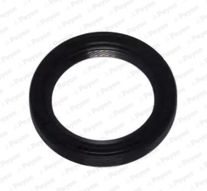 PAYEN Crankshaft seal Article number: NA5306 cheaply