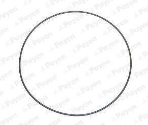 PAYEN Pakning, cylinderforing Varenummer: LA5237 billige