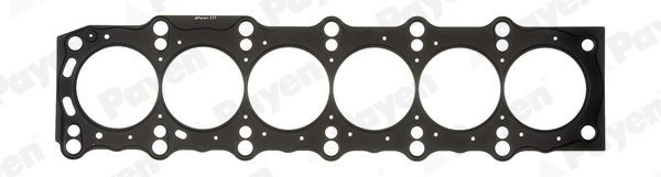 PAYEN Gasket, cylinder head Article number: AG5100 cheaply