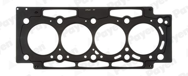 PAYEN Gasket, cylinder head Article number: AH6630 cheaply