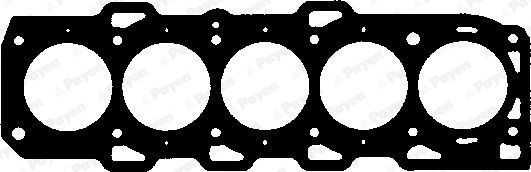 PAYEN Gasket, cylinder head Article number: BW321 cheaply