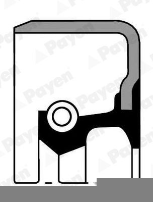 PAYEN Rocker cover gasket Article number: JN275 cheaply