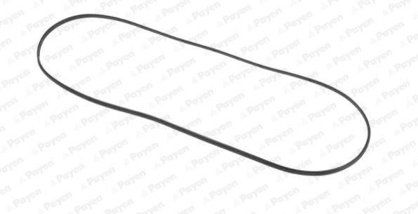 PAYEN Rocker cover gasket Article number: JN707 cheaply